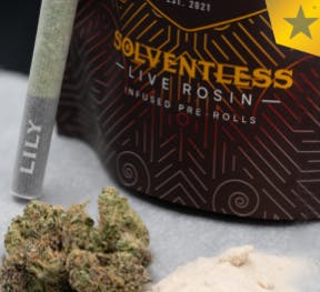 LILY EXTRACTS | E - BRAKE  | 1.