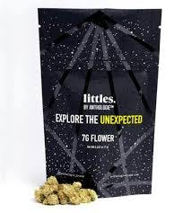 ANTHOLOGIE | LOCAL SKUNK |