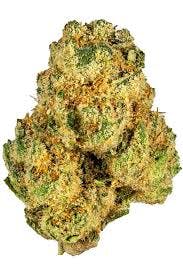 MAGIC GARDEN BOTANICALS | ANIMAL FACE OG |