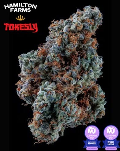 HAMILTON FARMS X TOKESLY | GRAPE ROCK CANDY | - 3.5 G