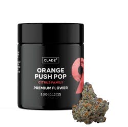 CLADE9 | ORANGE PUSH POP | 3.