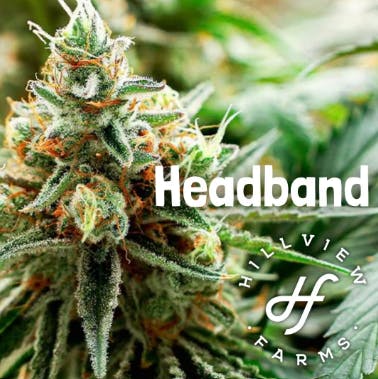 HILLVIEW | HEADBAND | 3.