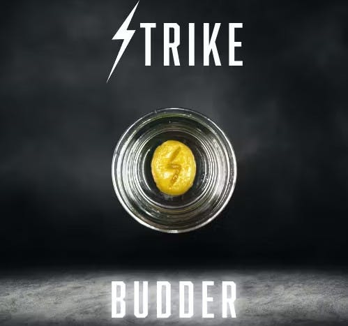 STRIKE | BLUEBERRY LIVE BUDDER |