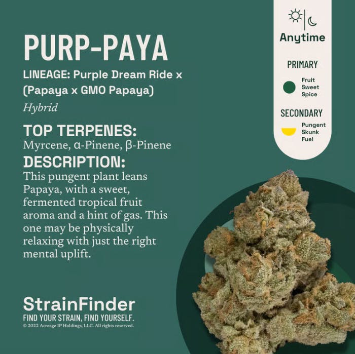 THE BOTANIST | PURP PAYA |