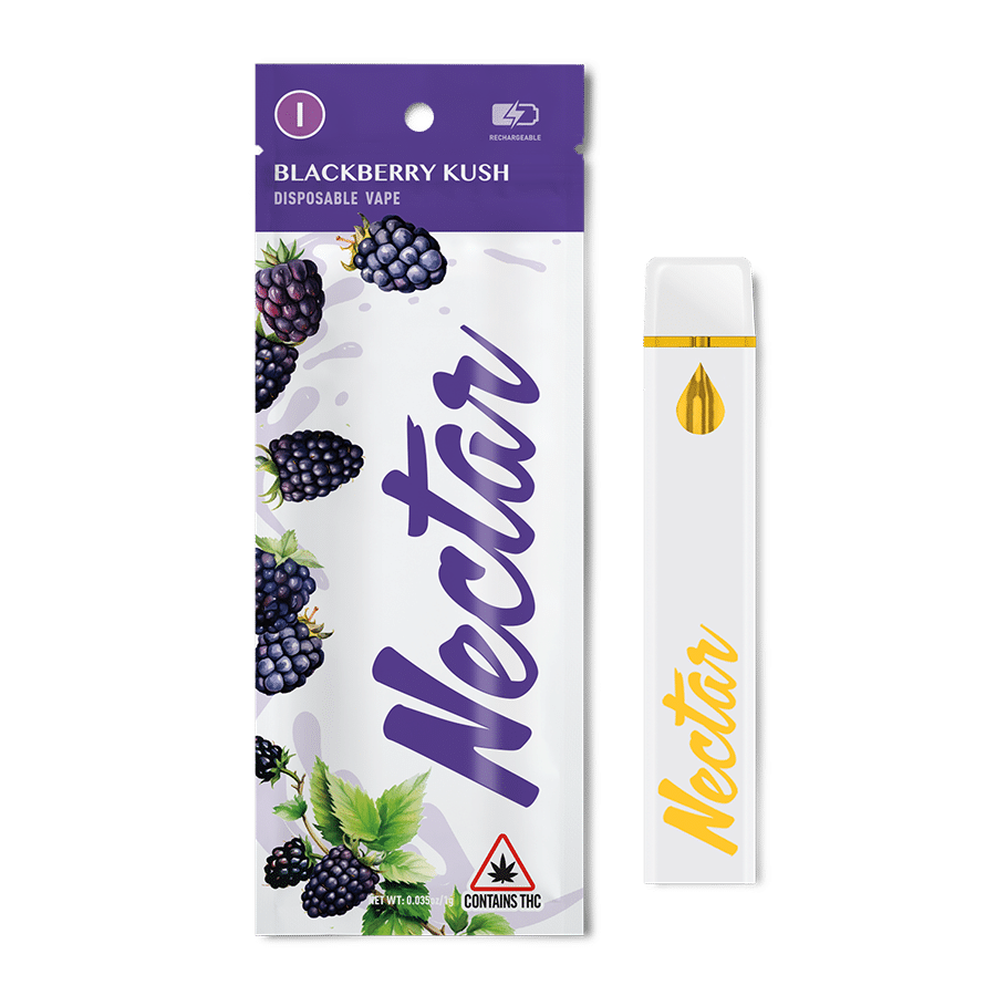 Blackberry Kush Distillate Disposable - 1g | Vaporizers | Nectar | CommCan  Mansfield (Rec) | 611 West Street Mansfield, MA 02048