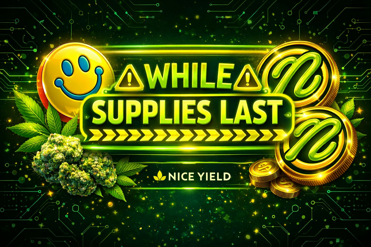 While Supplies Lasts!