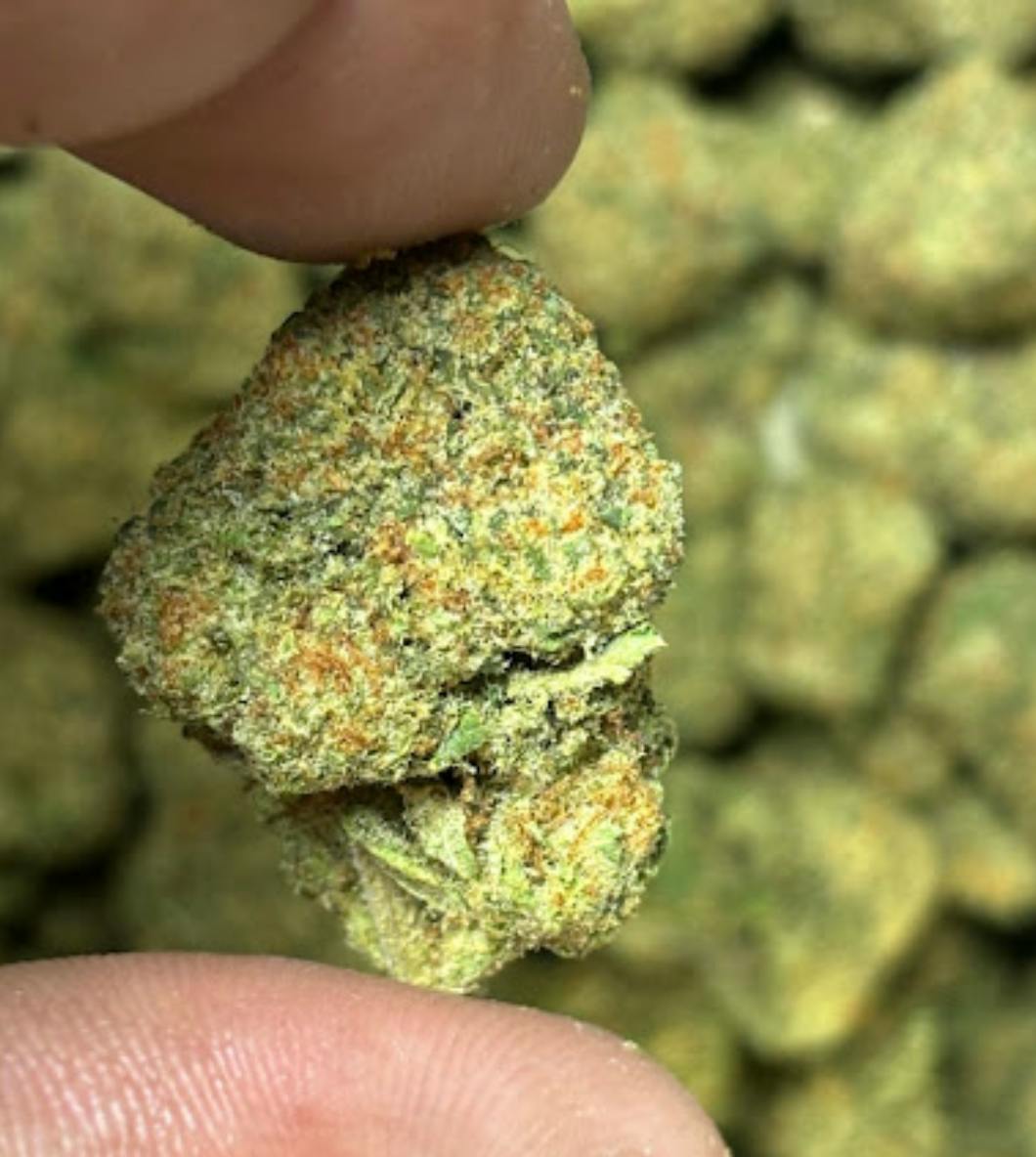 Illemonatti 3.5g - Flayvur - Sativa Hybrid - 3.5g in Tupelo