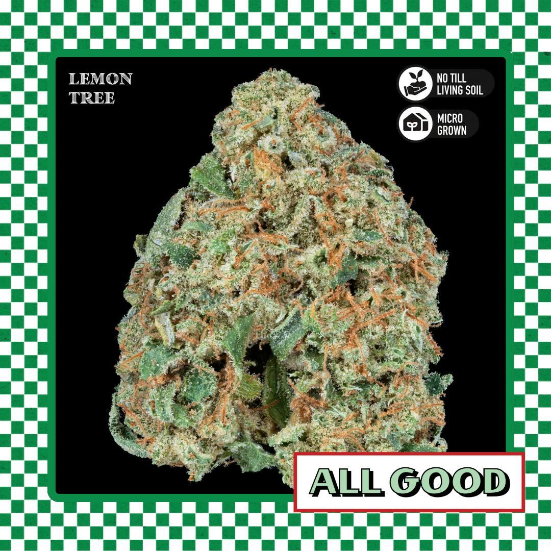 Royal Genetics | Lemon Tree | Flower | Hybrid | 3.5g