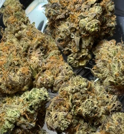 IC | Candy Garlic | Flower | Hybrid | 14g