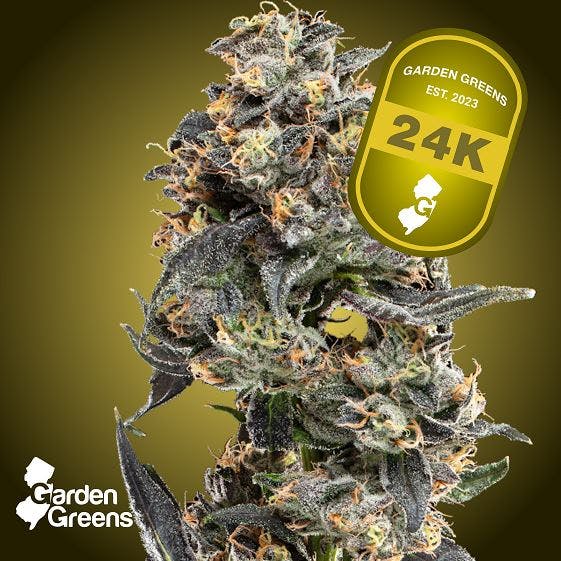 24k Big Buds