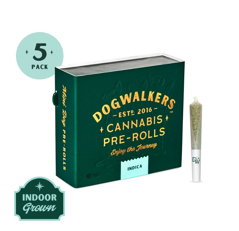 ANIMAL FACE |5PK [1.]