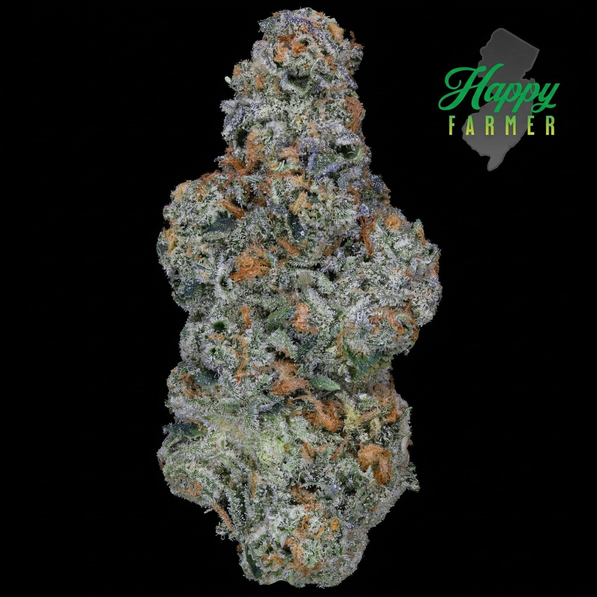 Gunpowder Milkshake | 3.5g - 1/8oz in Paterson