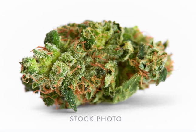 Wizard Socks 3.5g - Great River Canopy Co - 25.3% - Hybrid - 1/8oz in Columbus