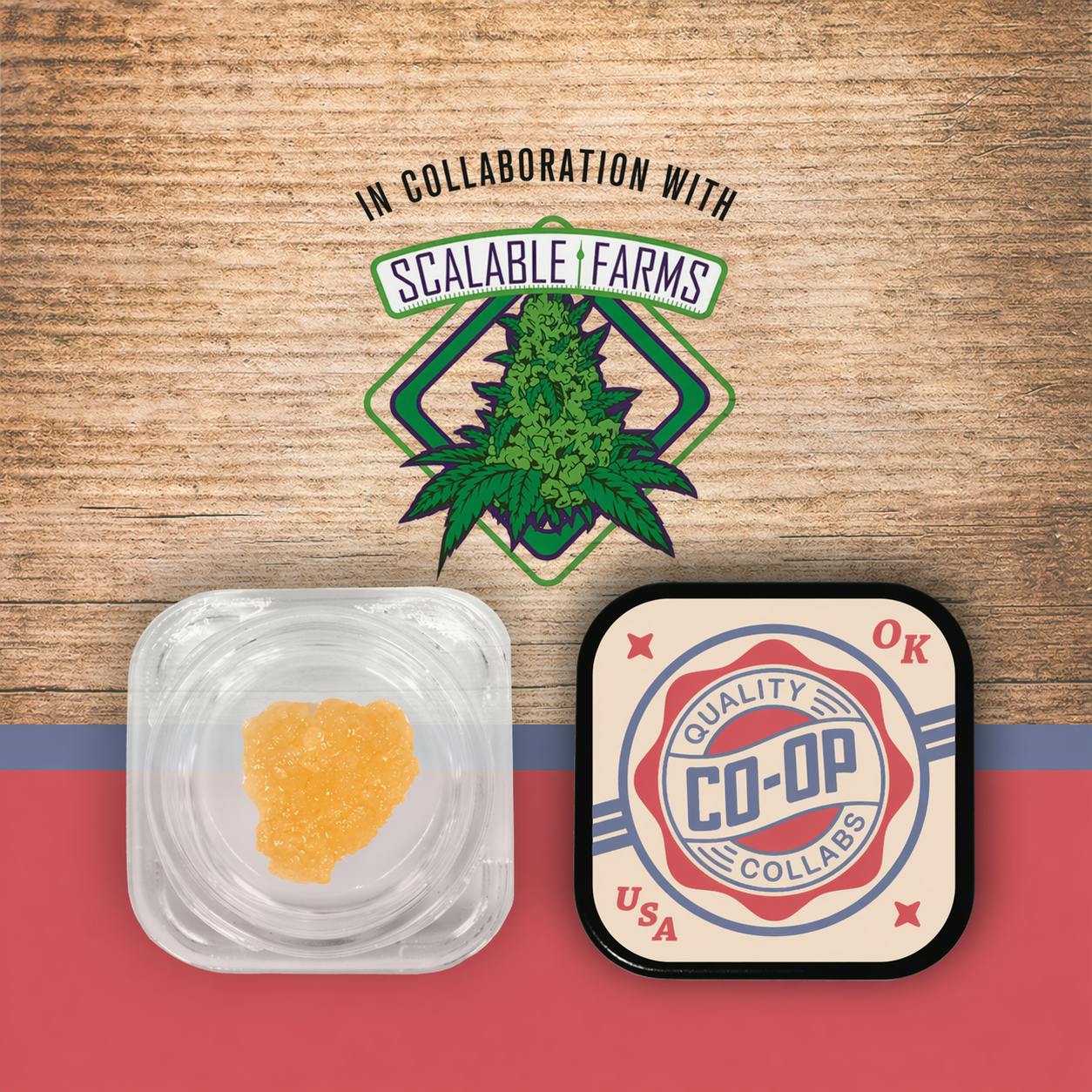 Co-Op x Scalable Farms - Soda Fountain 2g Sugar TRIBE (H)