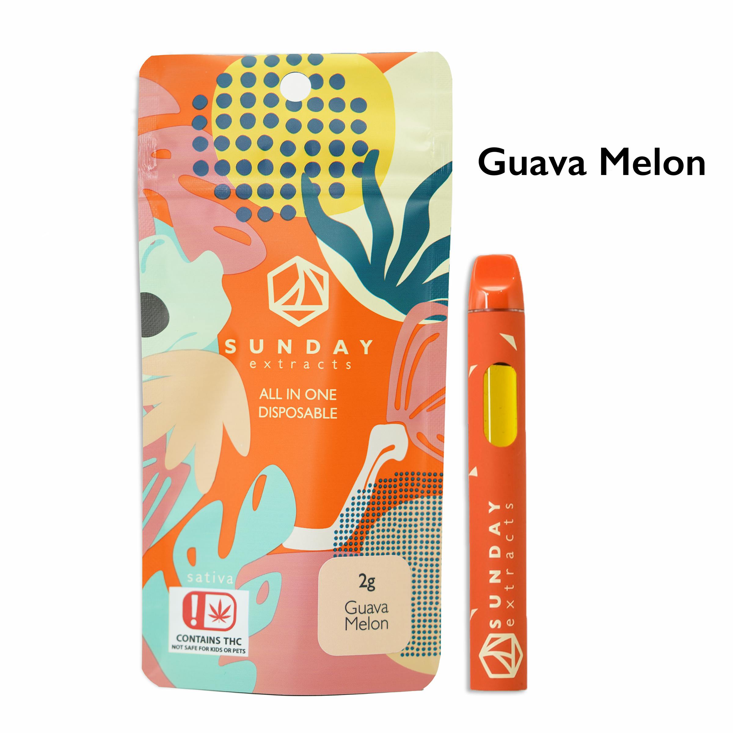 Guava Melon Disposable Distillate Ripstick 2g SDEX (S)