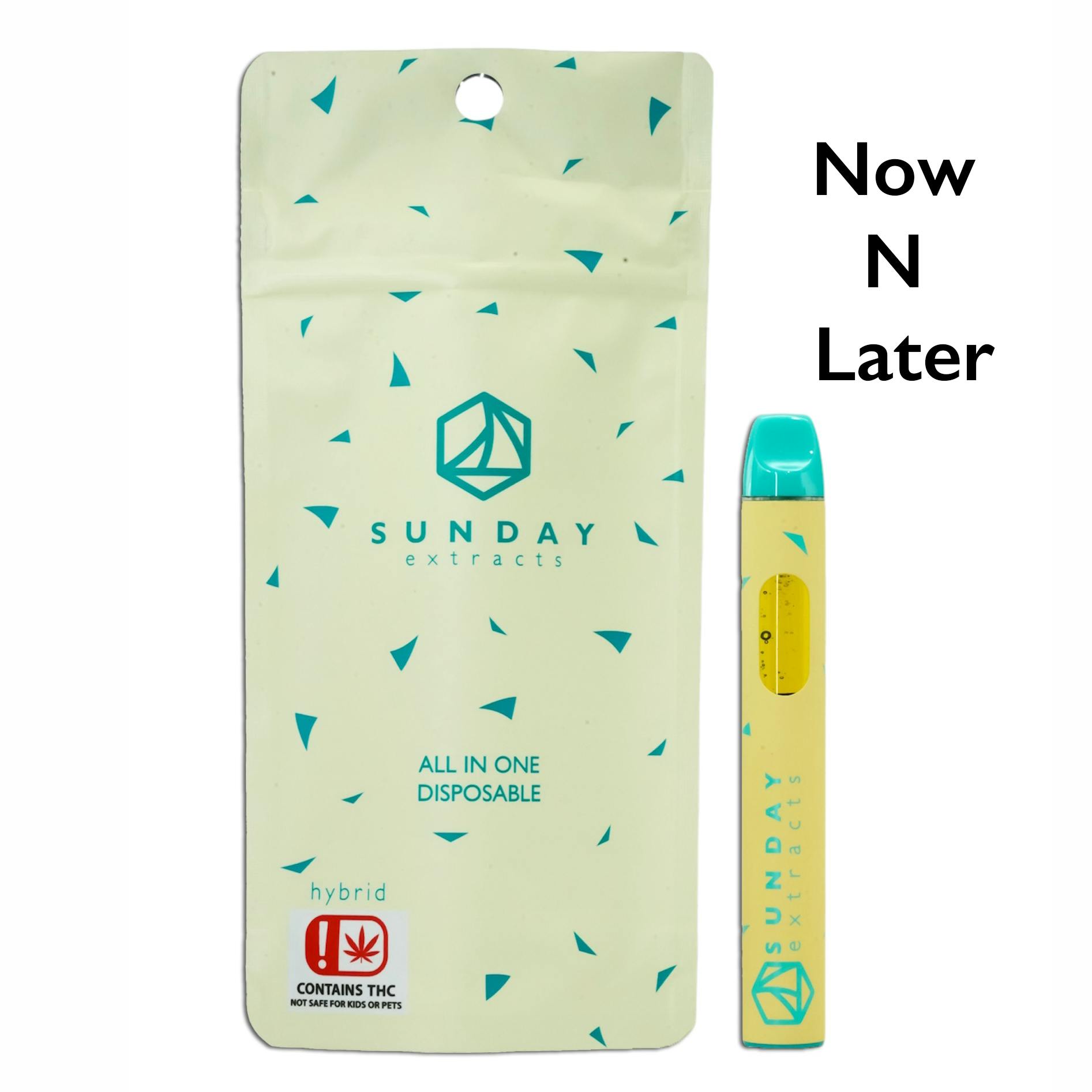 Now N Later Disposable Distillate Ripstick 2g SDEX (H)