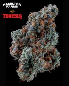 Hamilton Farms x Tokesly Strawberry Milano