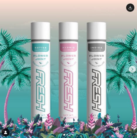 Fresh | Pre-Roll | Gelato Cake |