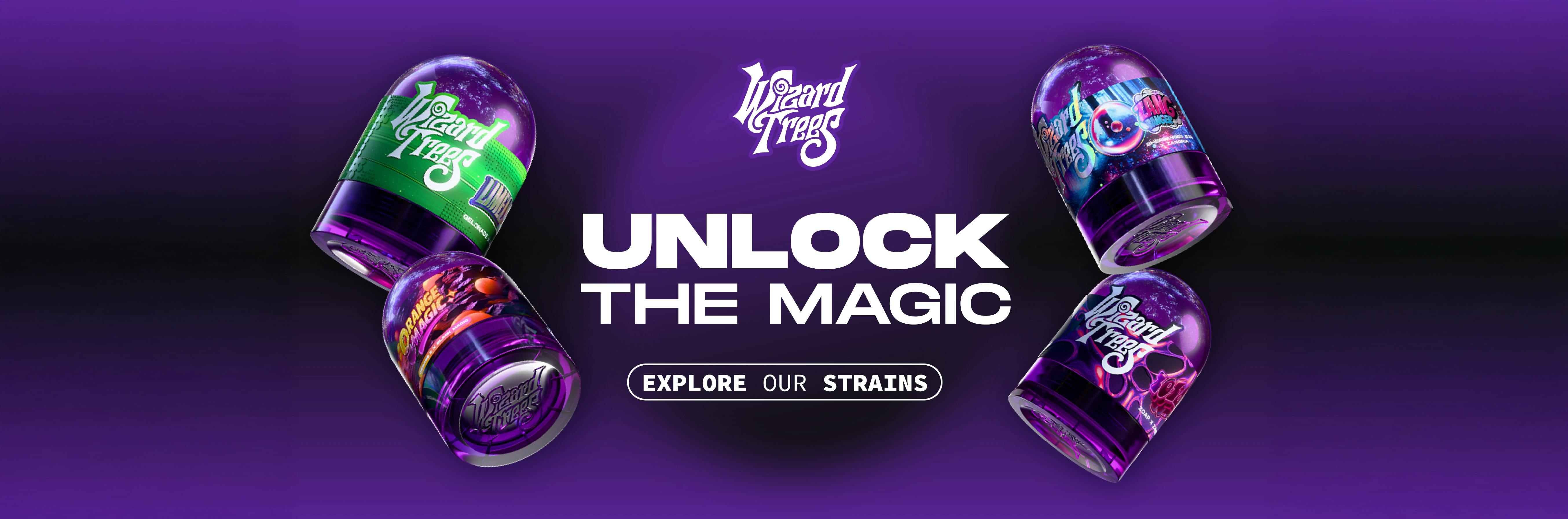 Unlock the Magic With Wizard Trees