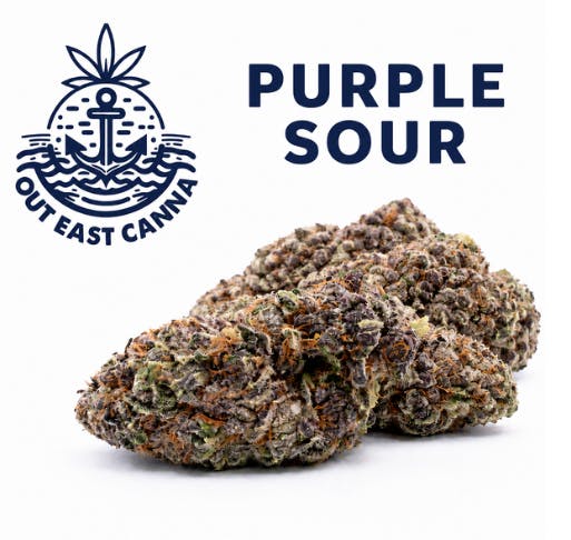 Out East Canna | Purple Sour | Flower | Hybrid | 3.5g