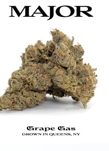 Major | Grape Gas | Flower | Hybrid | 3.5g