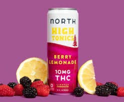 North High Tonics - Berry Lemonade - 10mg - Seltzer