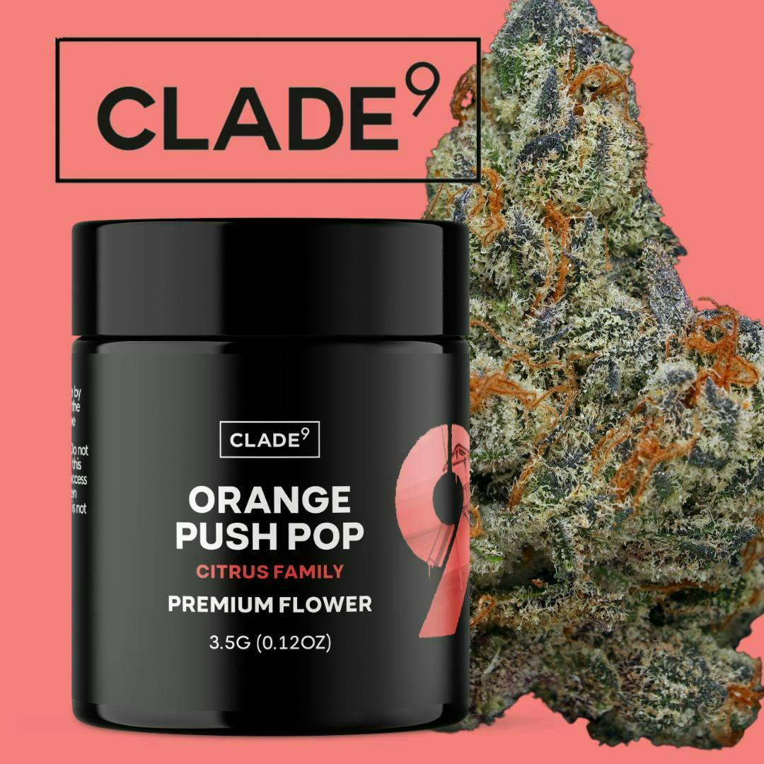 Clade9 - Orange Push Pop - Buds - 3.