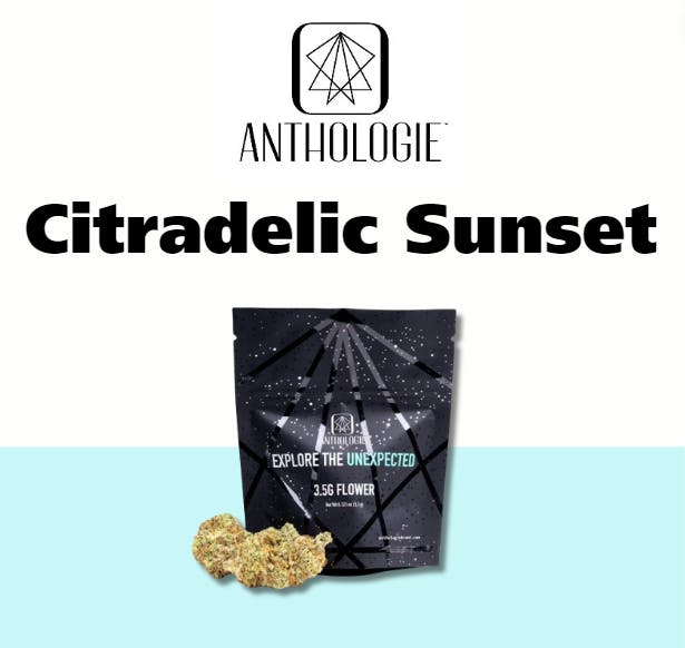 Anthologie - Citradelic Sunset - Buds - 3.