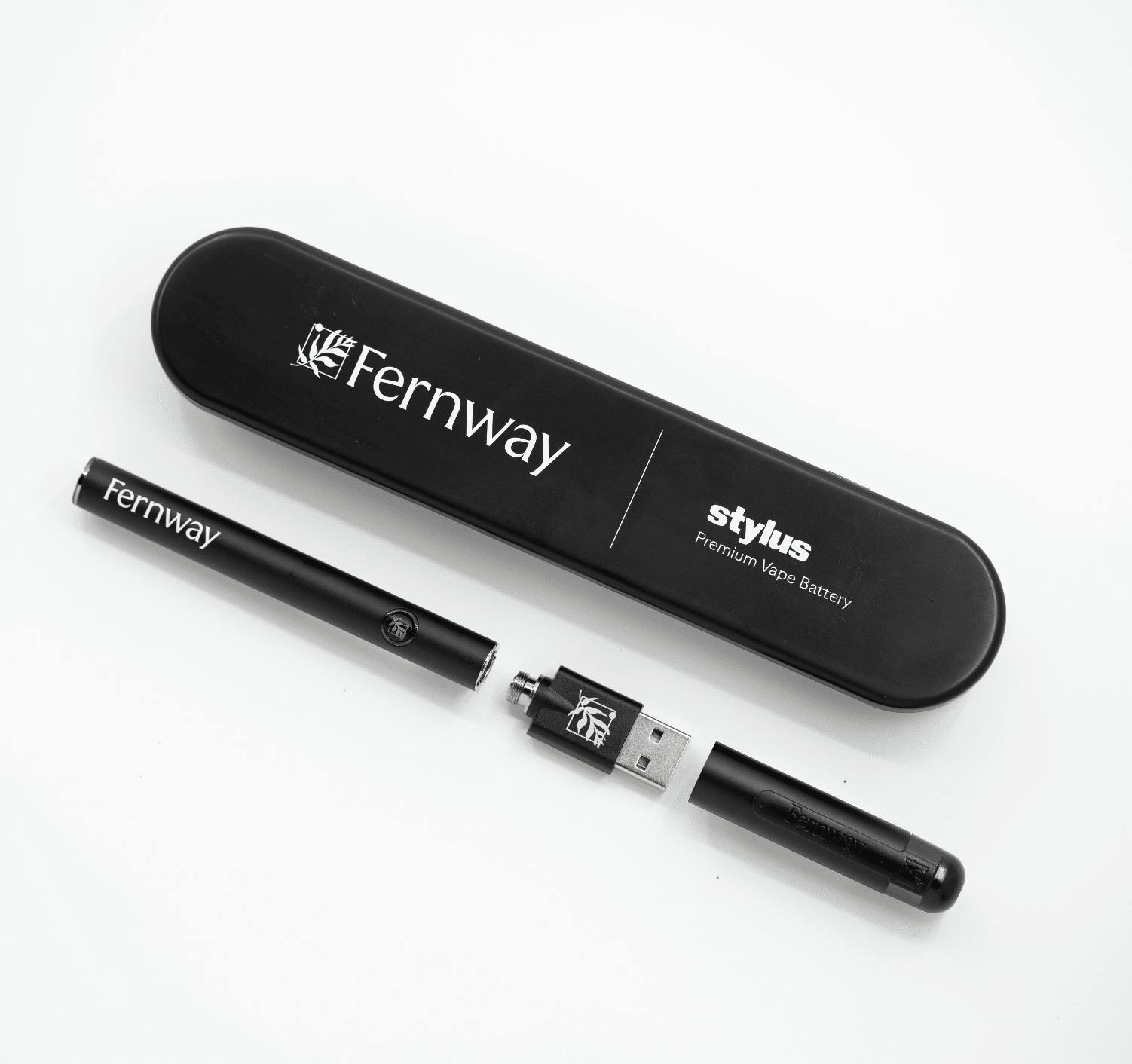 fernway disposable vape How to Charge a Disposable Vape​? A Complete Guide main image 0