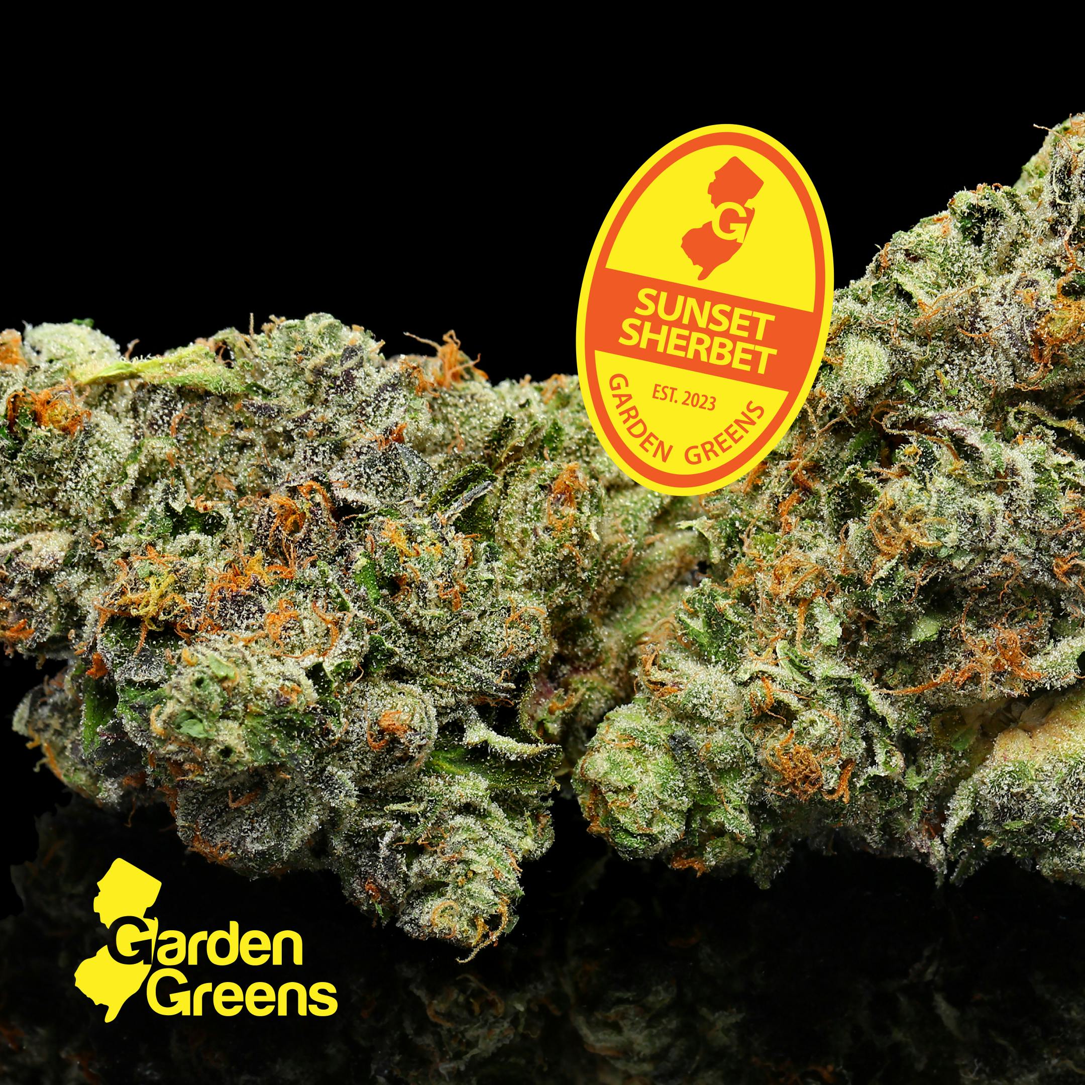 Garden Greens - Sunset Sherbert - Buds - 3.