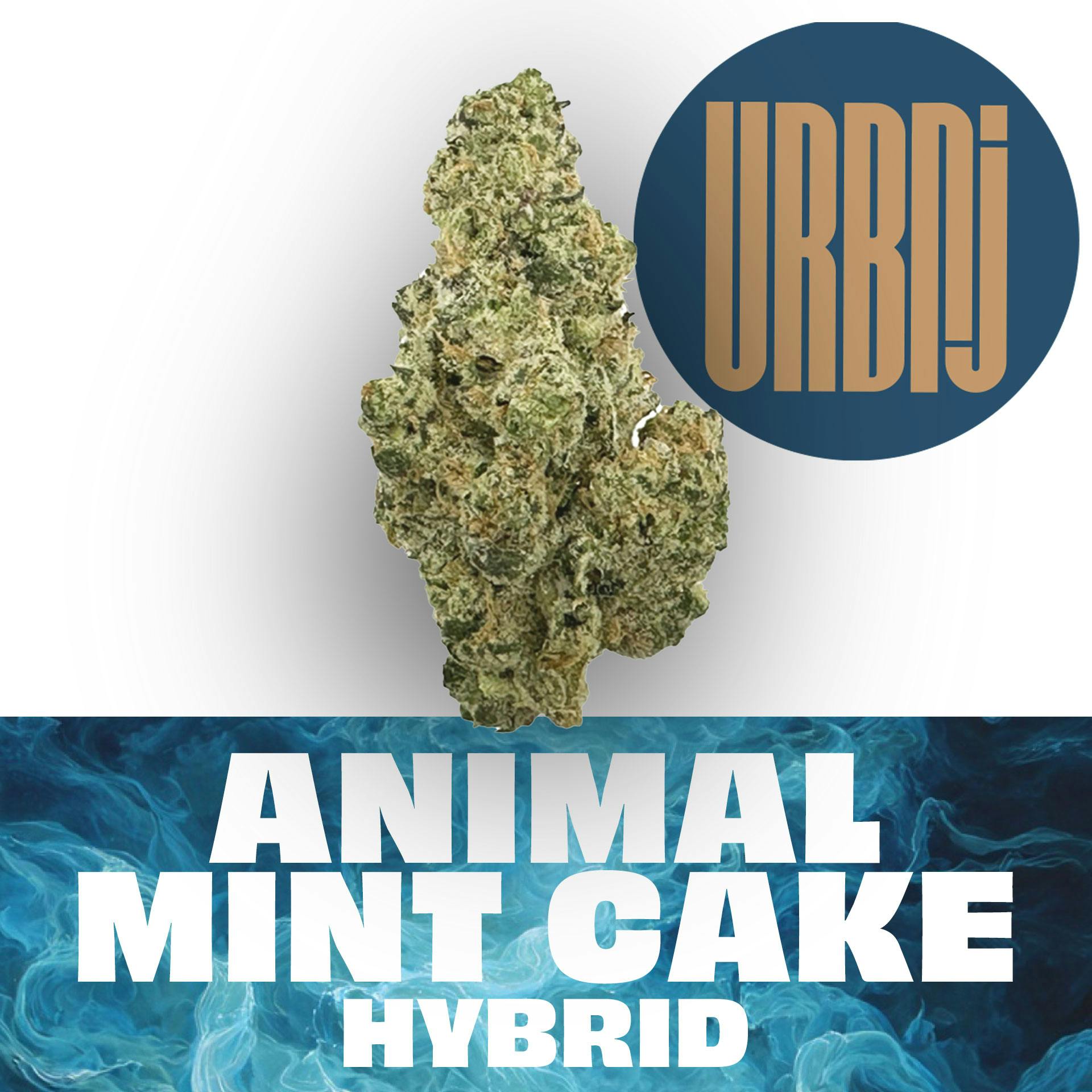 FLOWER | ANIMAL MINT CAKE |  PRE-PACK