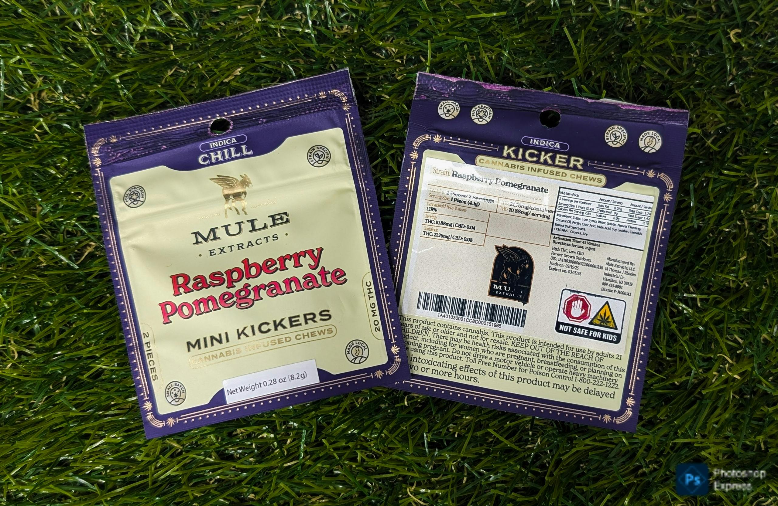 EDIBLE | RASPBERRY POMEGRANATE MINI KICKERS | 20MG - 20 Mg