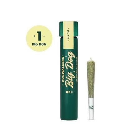 PREROLL | BROWNIE SCOUT BIG DOG | 1G - 1 G