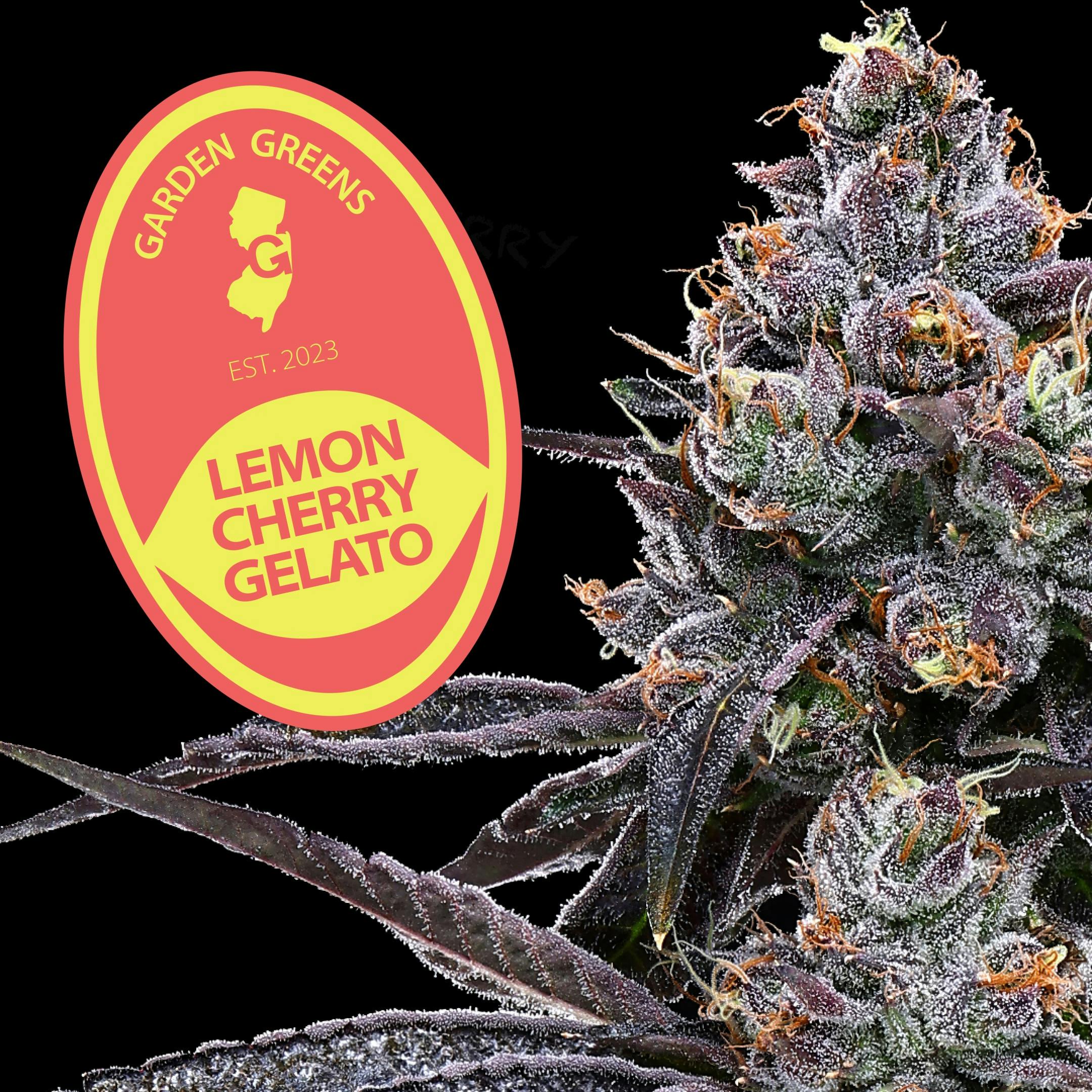 FLOWER | LEMON CHERRY GELATO | 3.5G - 3.5 G