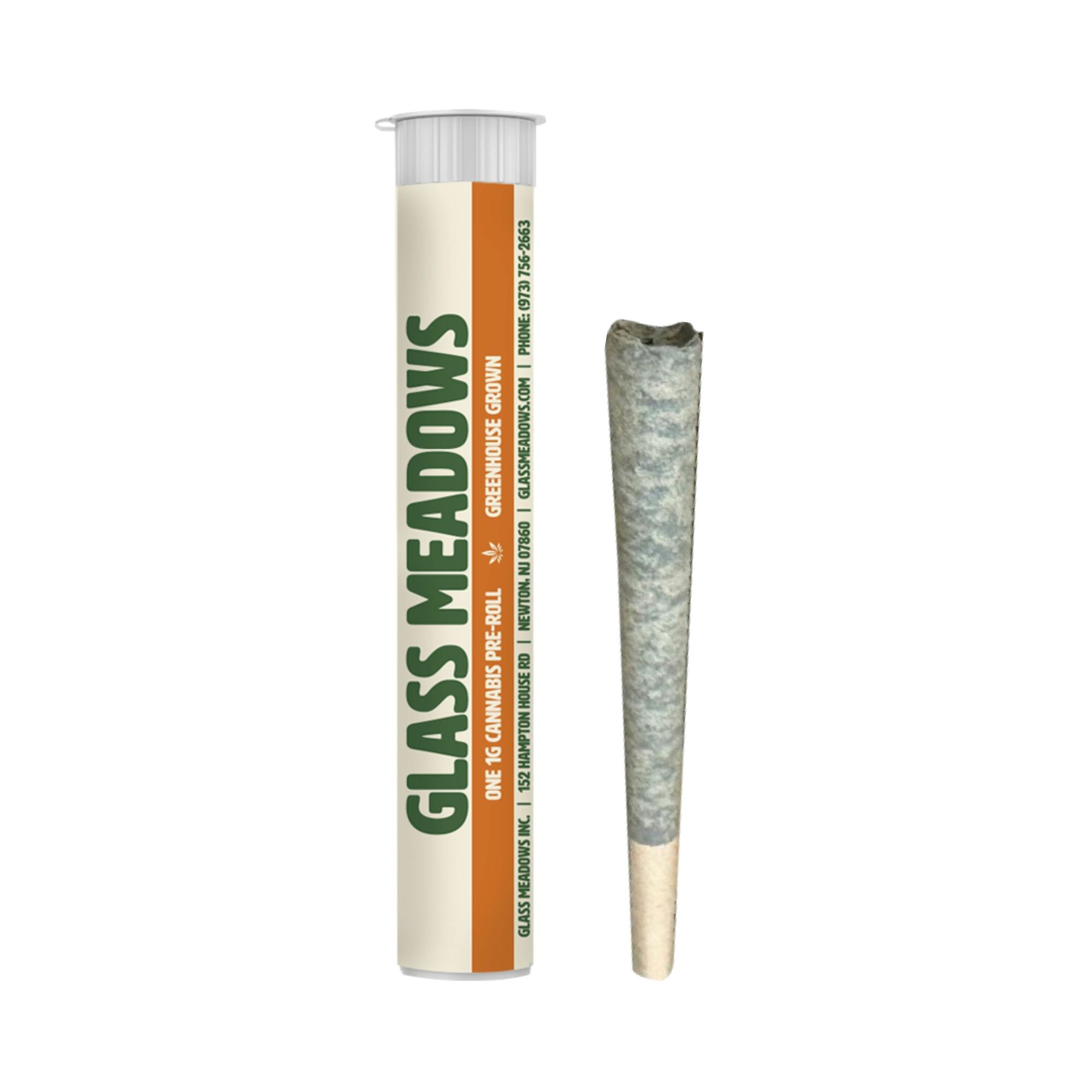 PREROLL | JERSEY BOOF CONE | 1G - 1 G