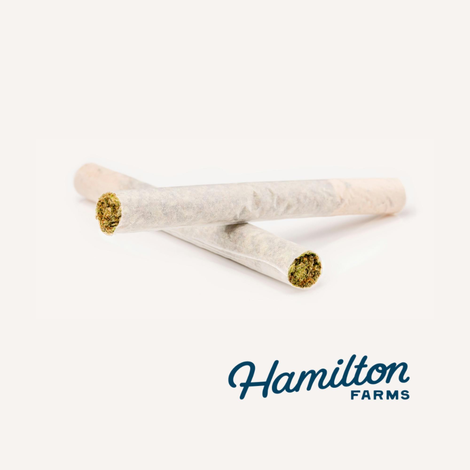 PRE ROLL | PANAMA RED | 2PK | 1G - 1 G