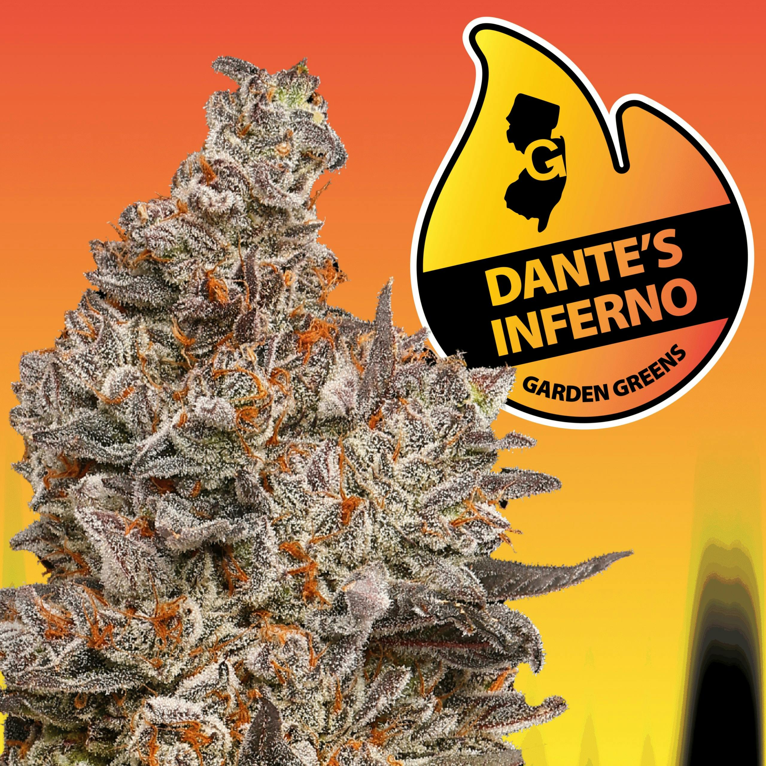 FLOWER | DANTE'S INFERNO | 7G - 7 G