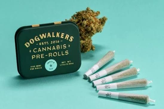 PRE-ROLL | BROWNIE SCOUT DOGWALKERS | 1.75G 5-PK - 1.75 G