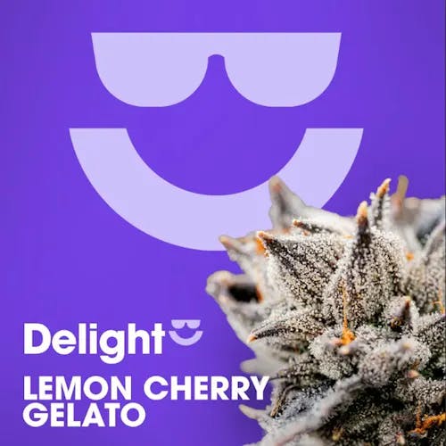 FLOWER | LEMON CHERRY GELATO | 3.5G - 3.5 G