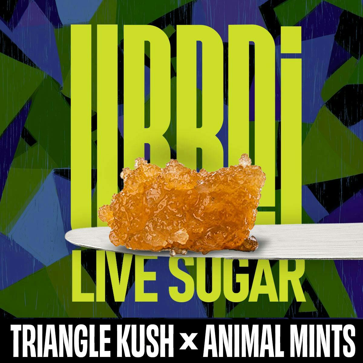 LIVE SUGAR | TRIANGLE KUSH X ANIMAL MINTS | 1G - 1 G