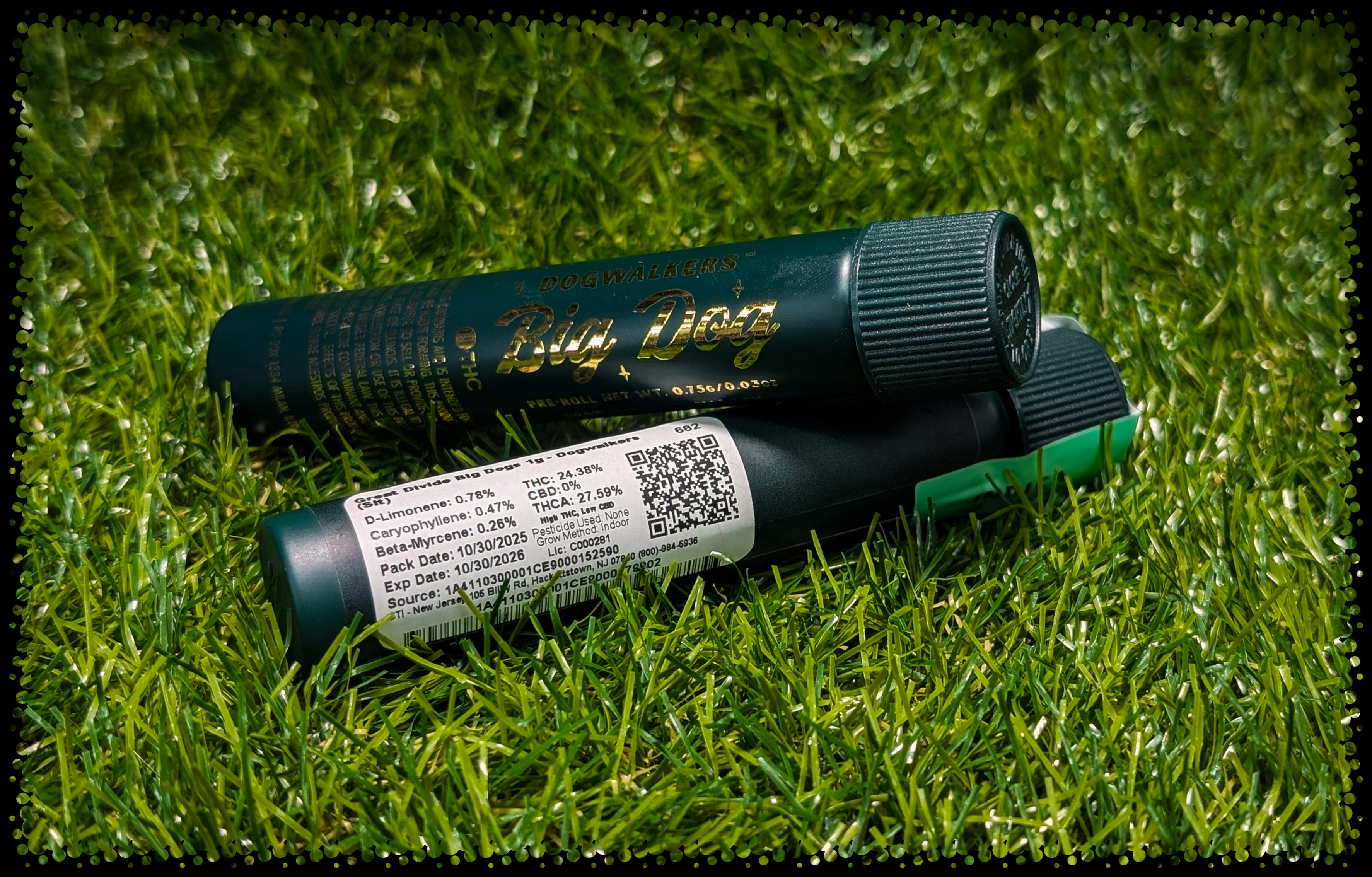 PRE-ROLL | GREAT DIVIDE | 1G