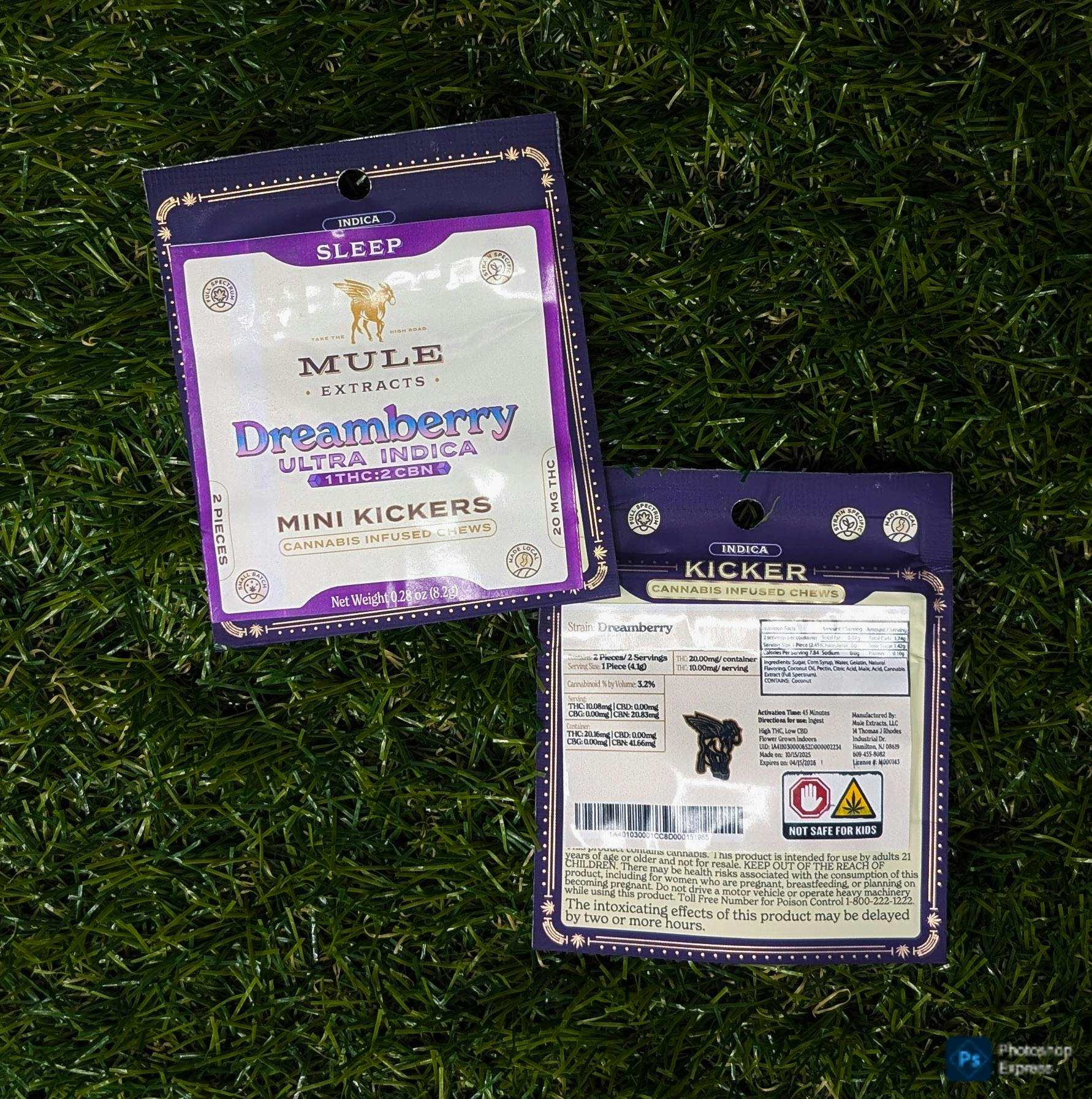 EDIBLE | DREAMBERRY MINI KICKERS | 20MG - 20 Mg
