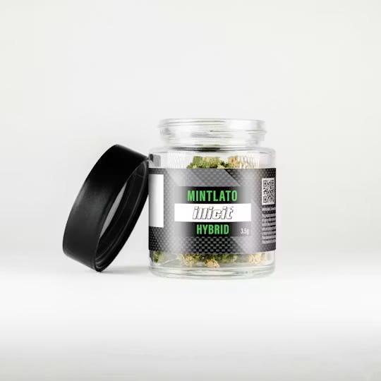 FLOWER | MINTLATO PREMIUM | 3.5GM - 3.5 G