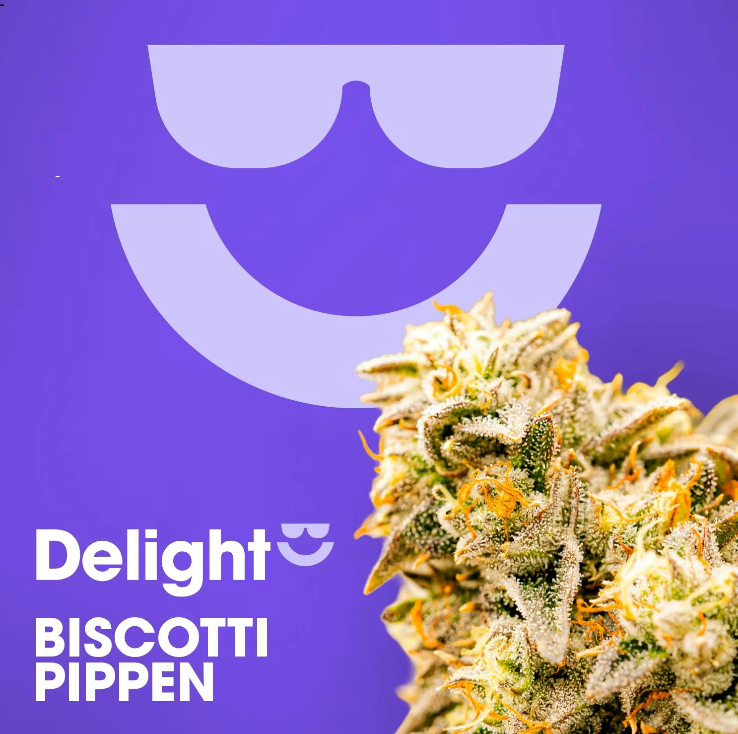 FLOWER | BISCOTTI PIPPEN | 3.5G - 3.5 G