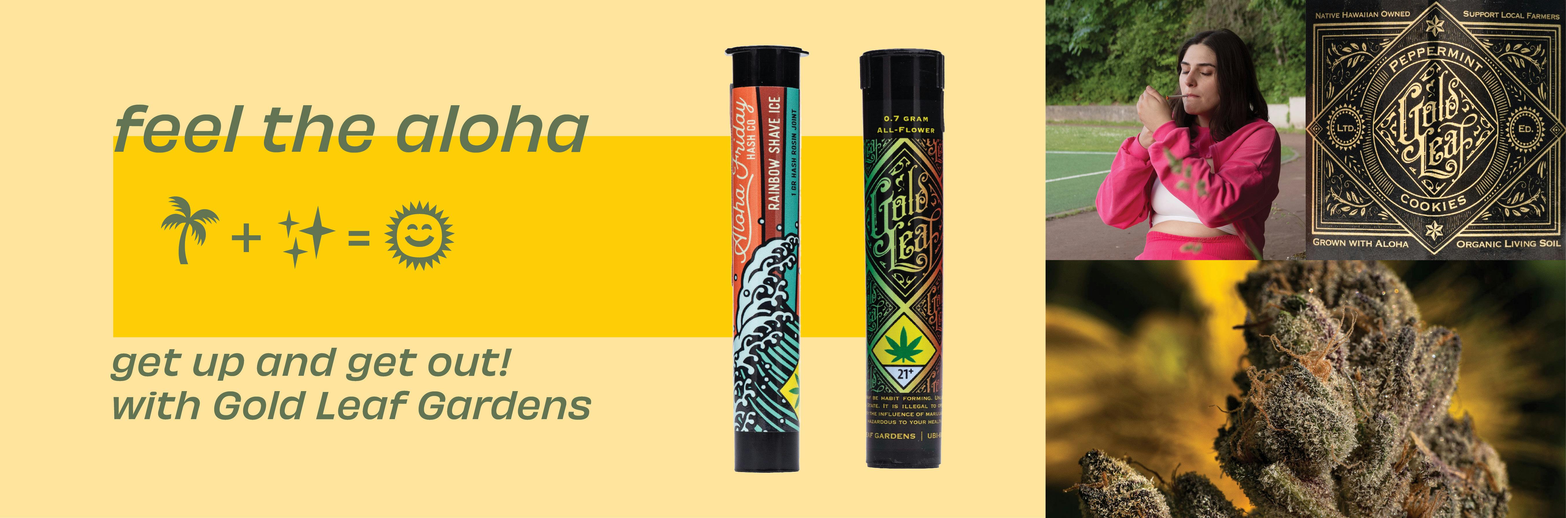 pom S⑨ T⑨ 750 General Pump TSF2021 66 series 3600 PSI 8.5 GPM Triplex Pump