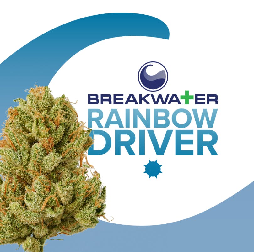 BREAKWATER | RAINBOW DRIVER | 3.5G FLOWER