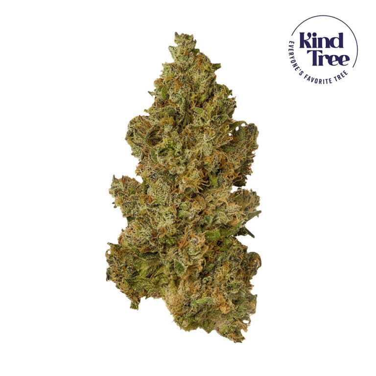 KIND TREE RESERVE | LEMON CHERRY ROZAY | 7G FLOWER - 7 G