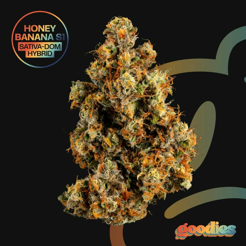 GOODIES | HONEY BANANA S1 | 7G FLOWER