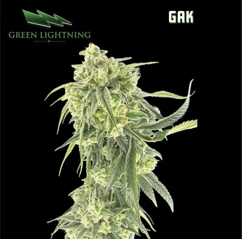GREEN LIGHTNING | GAK | 3.5G FLOWER