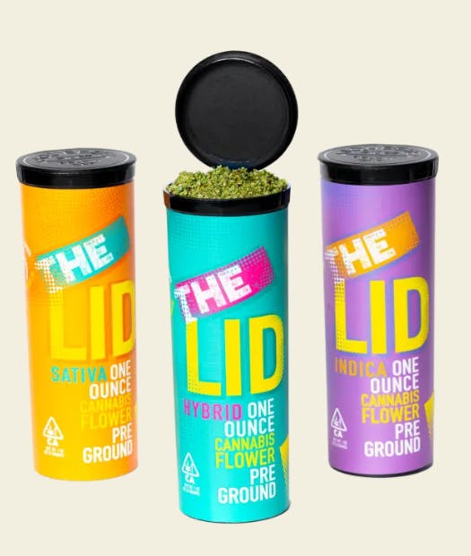 THE LID | PENNINGTON PAPAYA | 1OZ/28G SHAKE